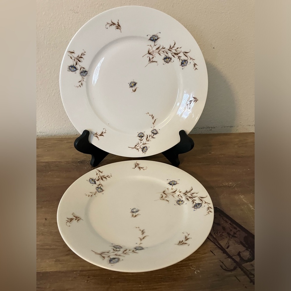 2 Vintage Haviland & Co Limoges Flowers Plates